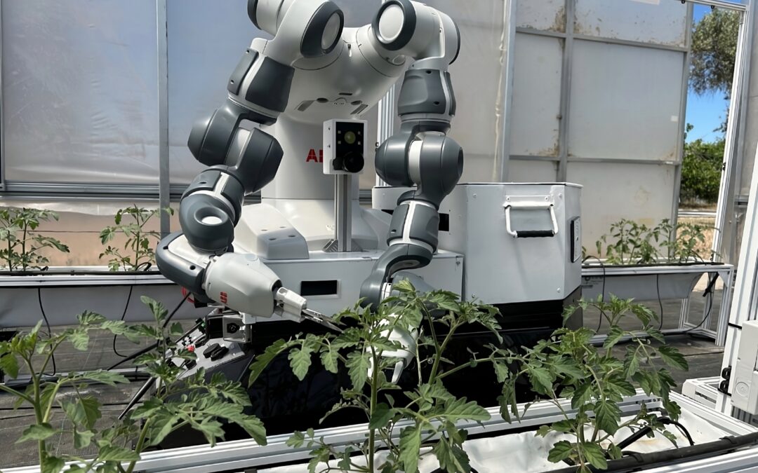 Avanzando en la Agricultura Hidropónica con Robótica: Nuestra Última Investigación Publicada en IEEE Access