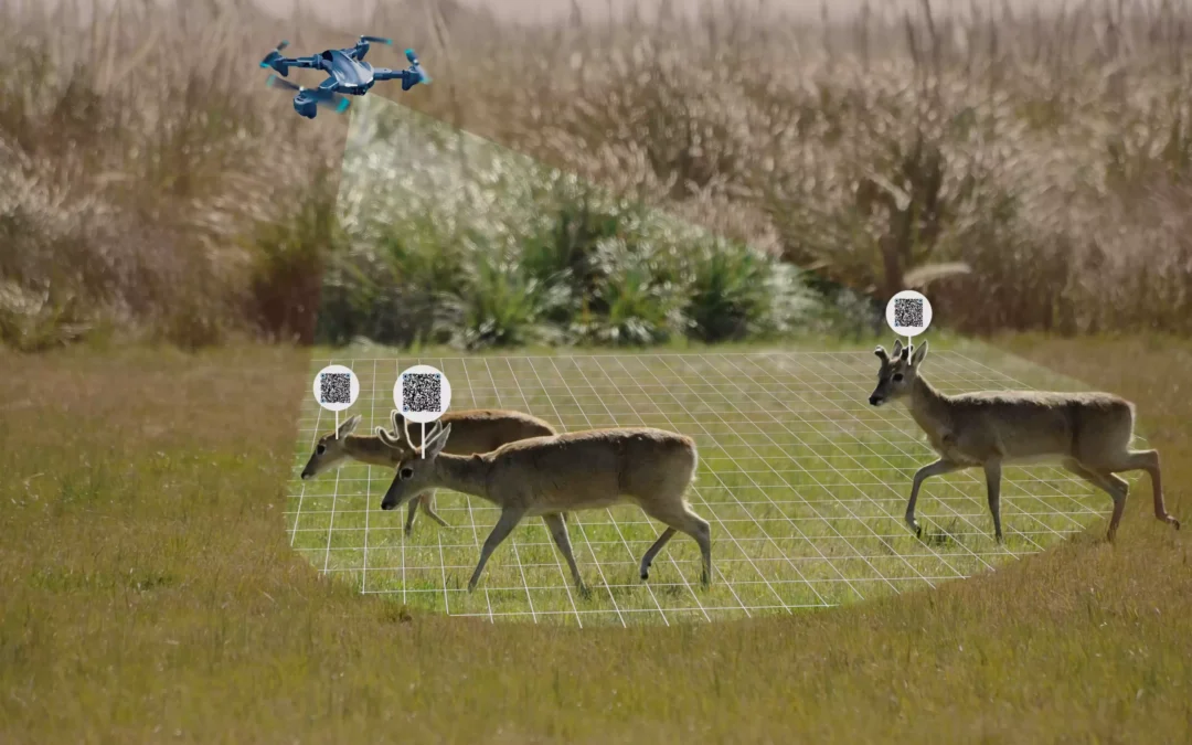 WiMoBo: Sistemas multi-robot multi-dominio para preservar la vida salvaje en el Parque Nacional Argentino Campos del Tuyú